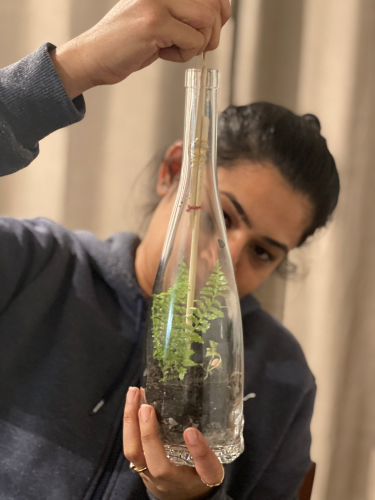Dr. Akriti Gupta plants a new terrarium.